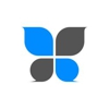 Blossom Strategies gallery