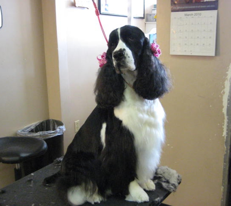 Clipper Ship Pet Grooming - Lake Mary, FL