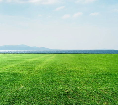 Aussie Turf and Soil - Freemans Reach, NSW