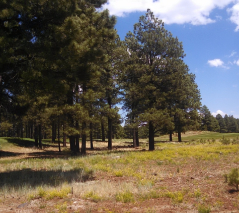 Cabaret Homes, Inc. - Sedona, AZ