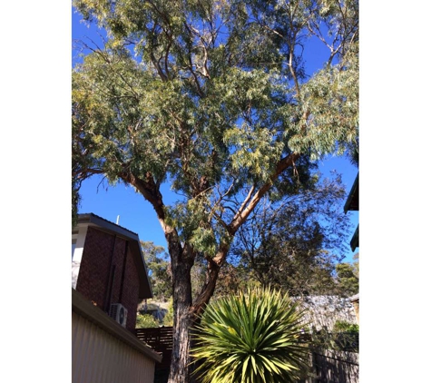 Total Tree Management - Kingston, TAS