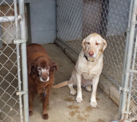 Indian Creek Kennel - Carbondale, IL