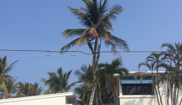 Steve's Tree Service & Removal - Riviera Beach, FL