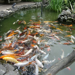 Aquatech Aquarium Service - Culver City, CA