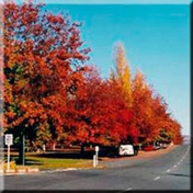 Gallery Image Number 4