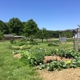 Stratford Ecological Center