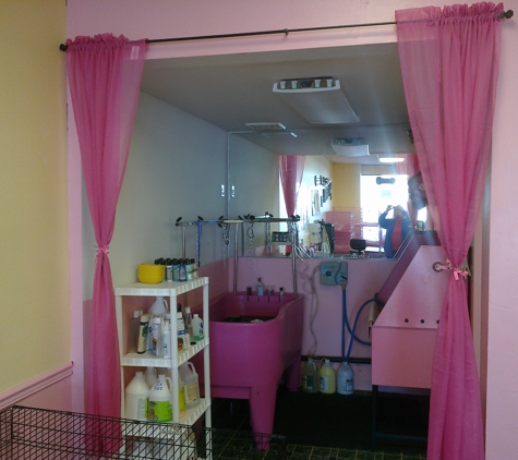 Pretty Paws Pet Grooming - Las Vegas, NV