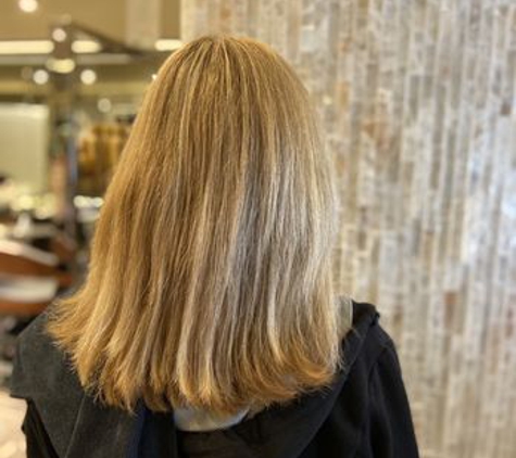 Hair by Shayda - Palo Alto, CA