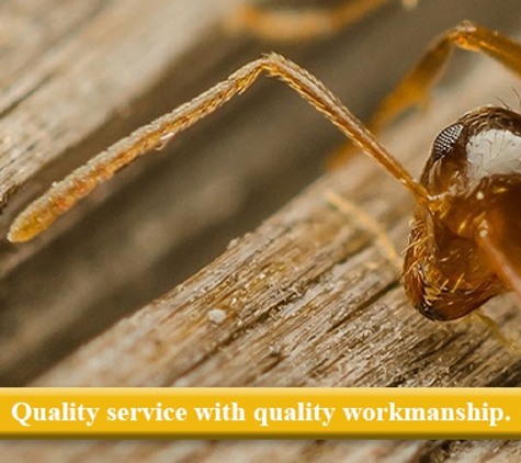 Any Pest Control - Mount Gravatt East, QLD. Real Estate Pest Control Services