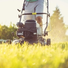 Five Daughters Mowing