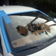 Auto Glass Specialists of Valencia