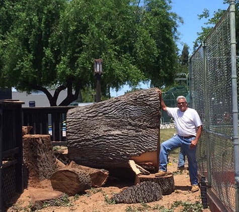 Haman Tree Service - Sacramento, CA