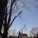 Ryans Tree Care & Services LLC - Tree Service