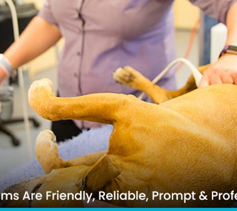 Leopold Pet Hospital - Leopold, VIC. Our Teams Are Friendly, Reliable, Prompt & Professional