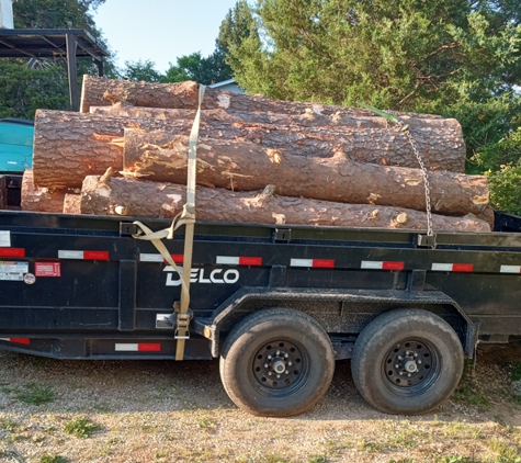 AP Tree Service - Hendersonville, NC