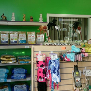 AST Pet Pros - Los Angeles, CA