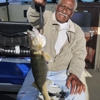 TheFishaholic/LakeErie Sport Fishing. gallery