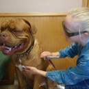 All Creatures Veterinary Clinic - Veterinarians