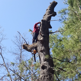 Triplowskis tree service - Reed City, MI