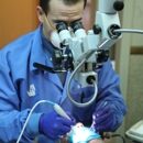 Lindemann Root Canal Specialists - Endodontists