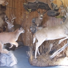 Mounts Unlimited Taxidermy LLC