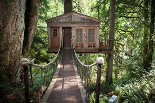 Nelson Treehouse and Supply