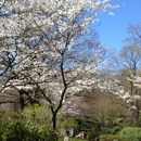 Locust Valley Cemetery - Cemeteries