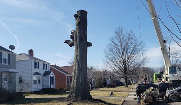 Hometown Lawn & Tree Service - Chardon, OH