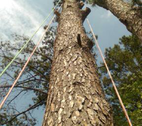 Melrose Tree and Landscaping - Huntsville, AL