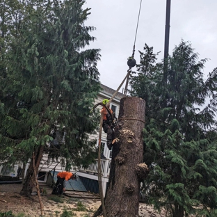 Norfolk Property Tree Service - Waltham, MA