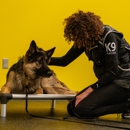 Precision Dog Training Academy - Pet Boarding & Kennels