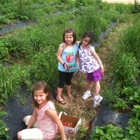 Chesterfield Berry Farm