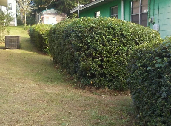 Mills Lawn Service - Tallahassee, FL. Last after picture