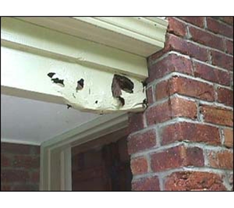 Dunrite Termite & Pest Control - Logan Village, QLD