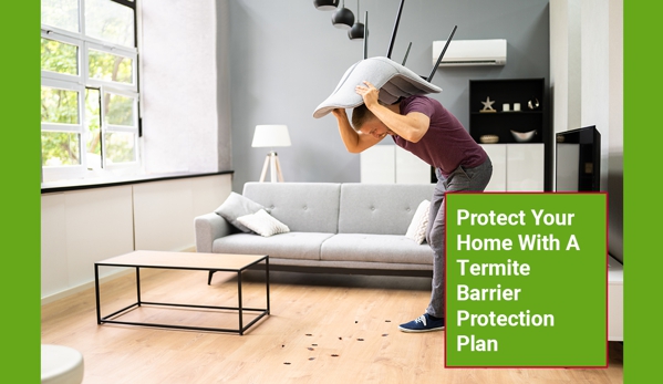 BP Homecare Pest Control - North Perth, WA. Protect Your Home With A Termite Barrier Protection Plan
