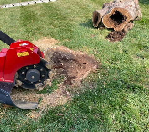 Absolute Stump Grinding - Crestwood, KY