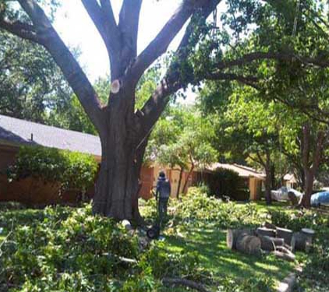 Sal's Landscape & Tree Service - Irving, TX