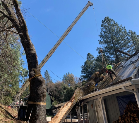 Noble Tree Service