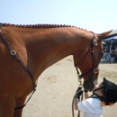 County Line Stables - Farms