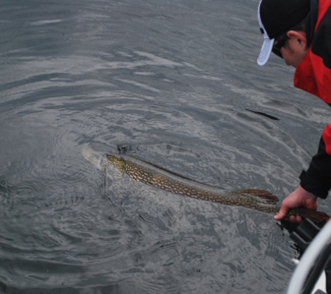 Voyageurs Adventures- Kabetogama Fishing Trips! - Kabetogama, MN