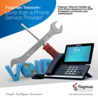 Flagman Telecom