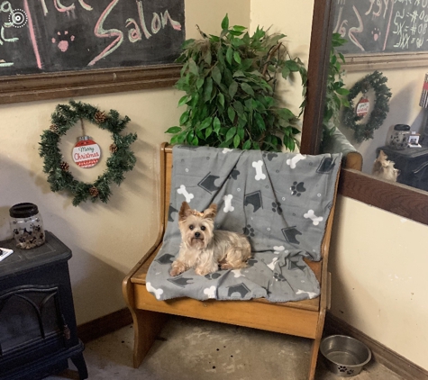 Bow-Wow Boutique Pet Salon& Salon - Taylor, AR