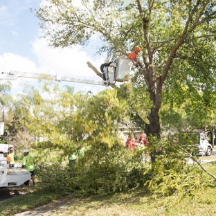 Blades Of Green - Apopka, FL