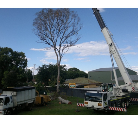 Total Tree Services - Mount Rascal, QLD