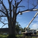 Zielinski's Tree Services