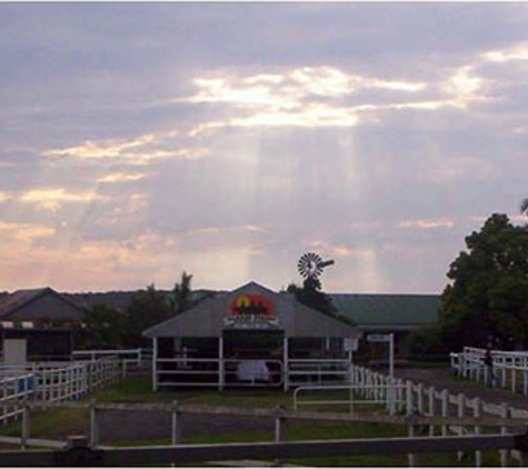 Darkes Forest Riding Ranch - Darkes Forest, NSW
