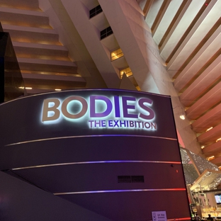 Bodies The Exhibition - Las Vegas, NV