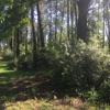 Brelands Land Clearing & Forestry Mulching gallery