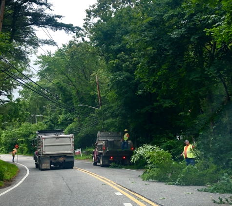 Brookhaven Town Highway Superintendent - Coram, NY. Shirley N.Y. 06/19/19
Tree trimmings