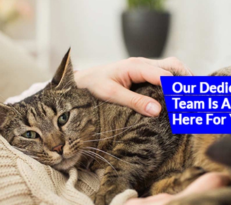 The Veterinary Hospital North - Clarkson, WA. Our Dedicated Team Is Always Here For Your Pets